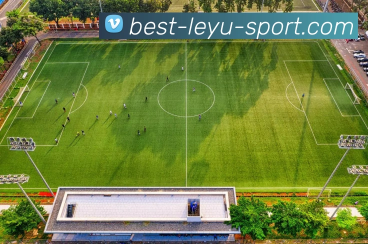 乐鱼体育APP 封面图